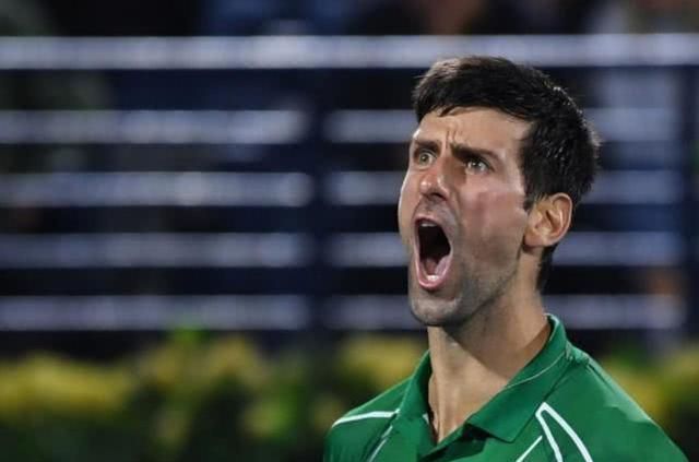 的专注与冷 的专注与冷